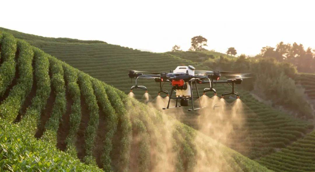 天夏智慧区块链食品(天夏智慧下面有哪些公司) 天夏智慧区块链食品(天夏智慧下面有哪些公司)