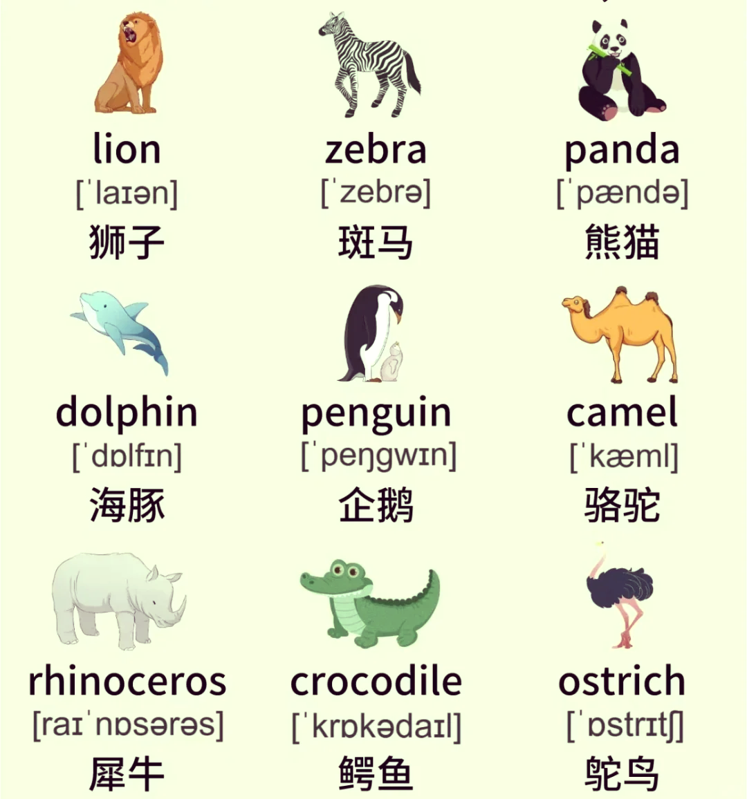 区块链动物英文简称是(区块链blockchain)